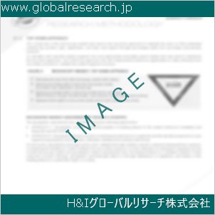 グローバルリサーチ調査資料のイメージ